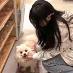 安博体育app下载